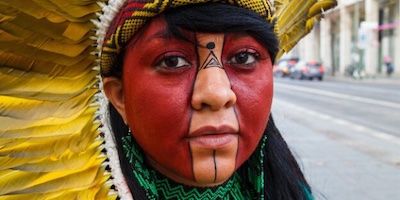 Petición a Lula da Silva para vetar una ley que devastará la Amazonia