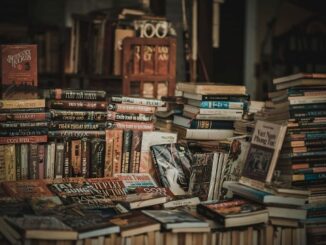 China brilla en la 42ª Feria Internacional del Libro Liber con más de 1.000 ejemplares y una propuesta de intercambio cultural con España