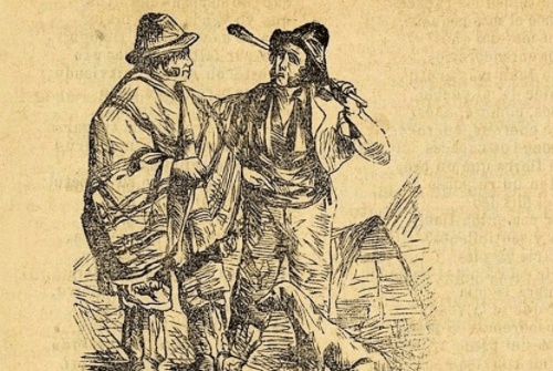 Refranes, dichos y provervios