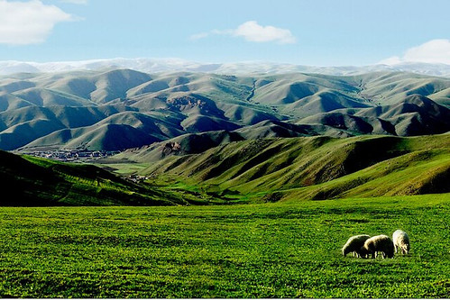 Mongolia Interior acelera el desarrollo de la industria del hidrógeno verde