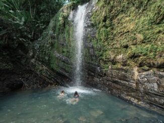 El latido verde y azul de Puerto Rico: un Caribe para sentirlo